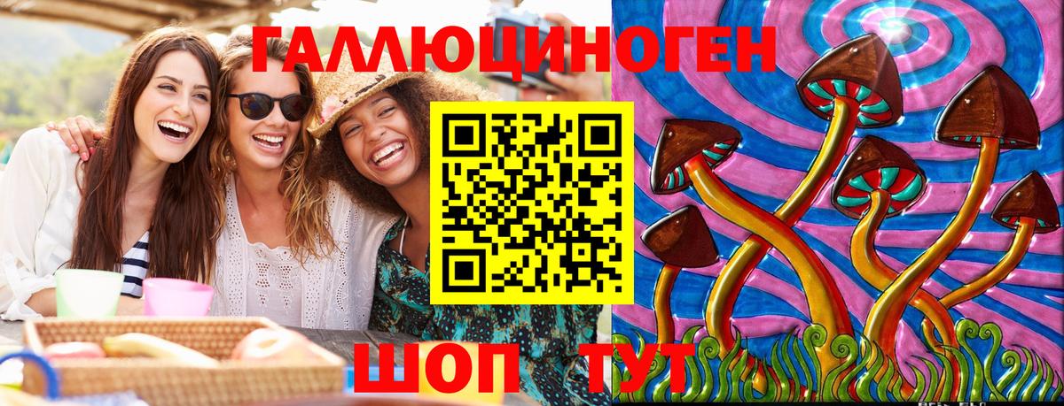 Псилоцибиновые грибы Psilocybine cubensis Дмитров